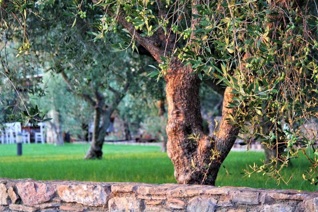 Liotrivi Historical Mansion And Boutique Hotel Monemvasia Bagian luar foto